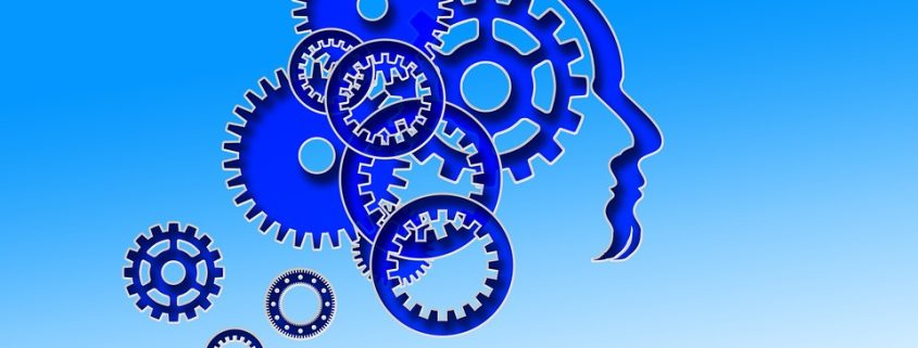 Curso intensivo sobre fundamentos de neurobiología en UNED Cantabria